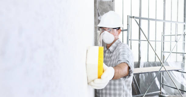 Best Industrial Mold Remediation  in USA